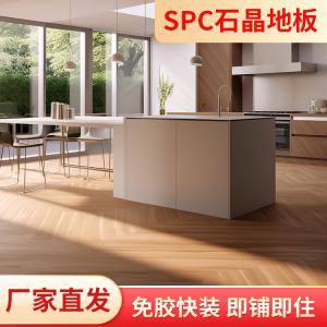 案例展示